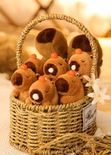 Load image into Gallery viewer, Cute Capybara Squeeze Toy